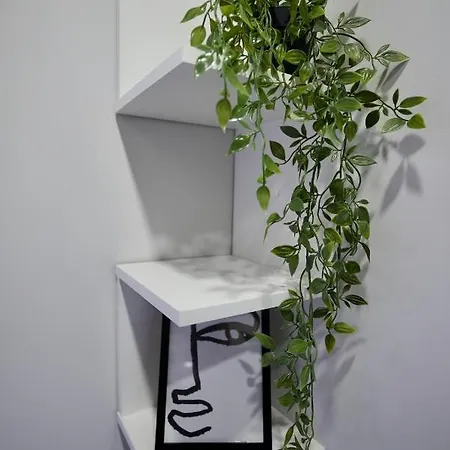 Lily's 3 By Bulgarentals - Sofia